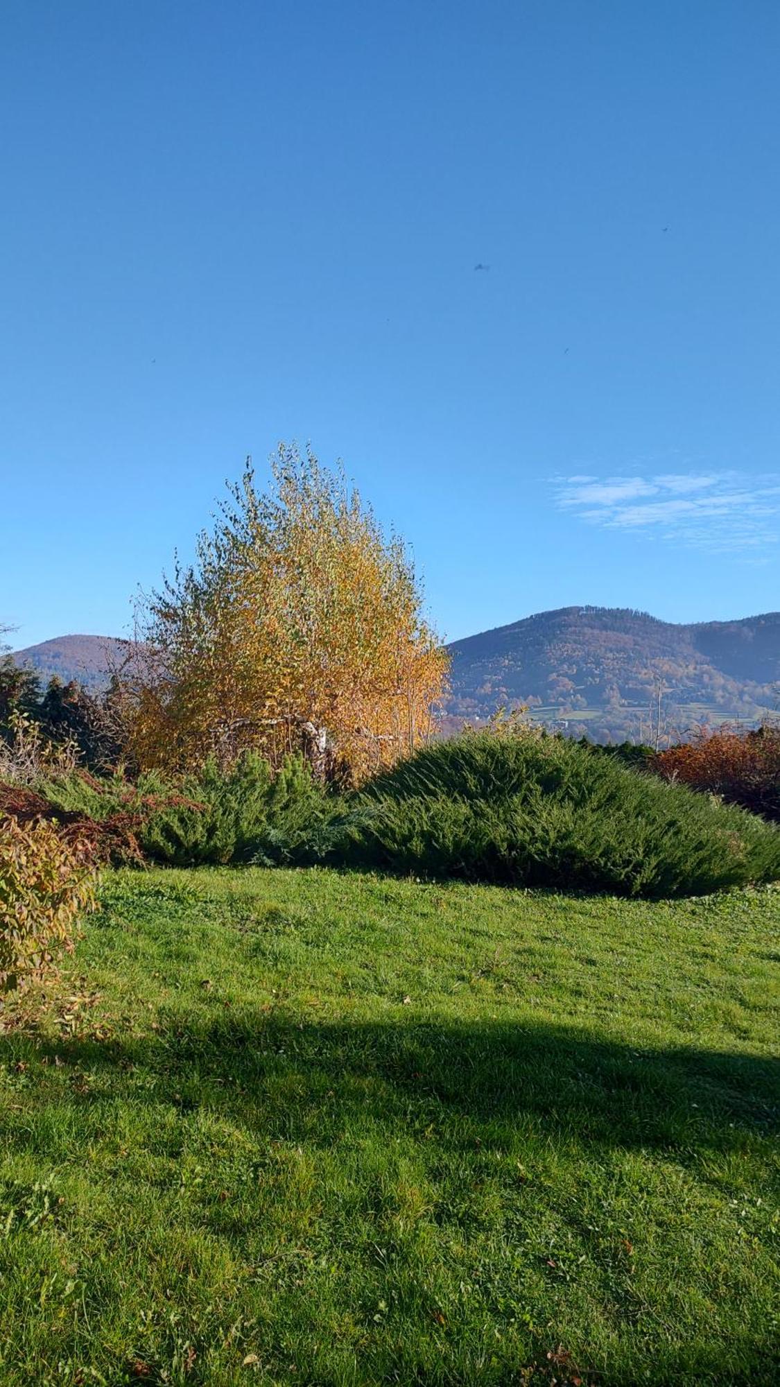 Dog Friendly Dom, Apartamenty Wichrowe Wzgorza Z Basenem Brenna Ustron Extérieur photo