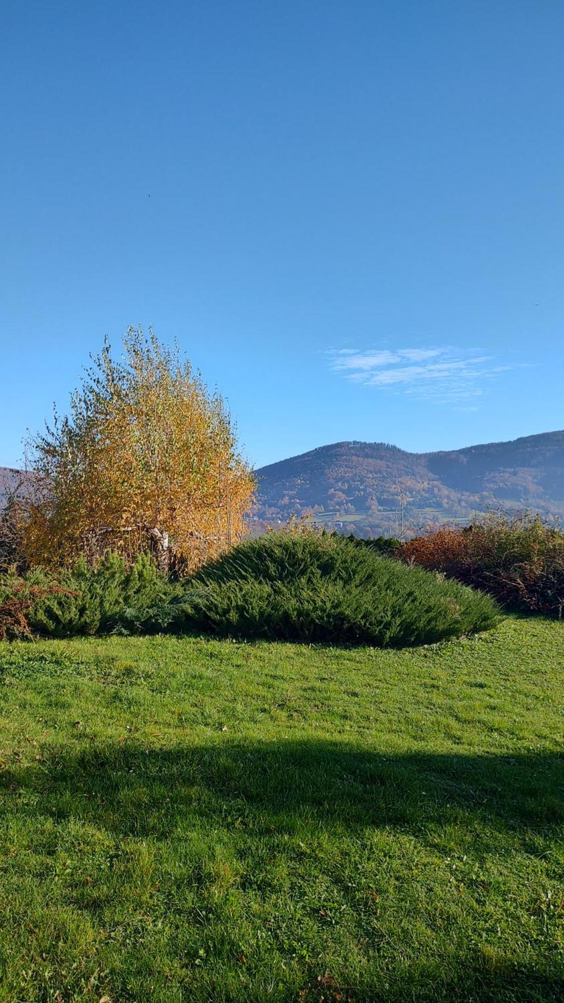 Dog Friendly Dom, Apartamenty Wichrowe Wzgorza Z Basenem Brenna Ustron Extérieur photo